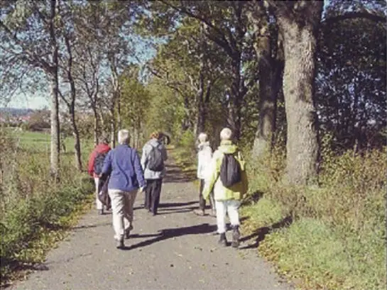 Wanderung im Schwarzwald während der Fastenwoche in Enzklösterle 2027