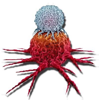 Virus – Symbolbild zur Immuntherapie